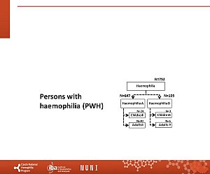 Výstupy z registru ČNHP za rok 2024 – hemofilie